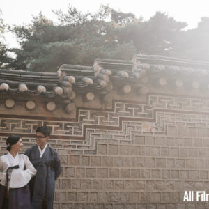 RNI All Films 5 Pro 400H
