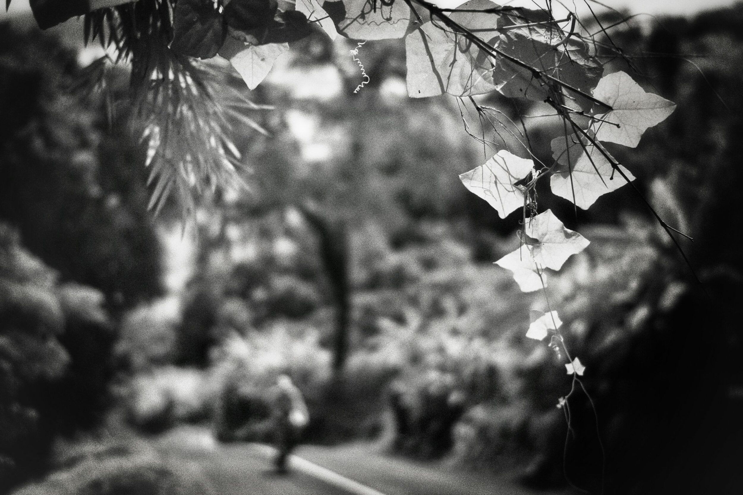 Snapseed-2-scaled-2500x1667.jpg