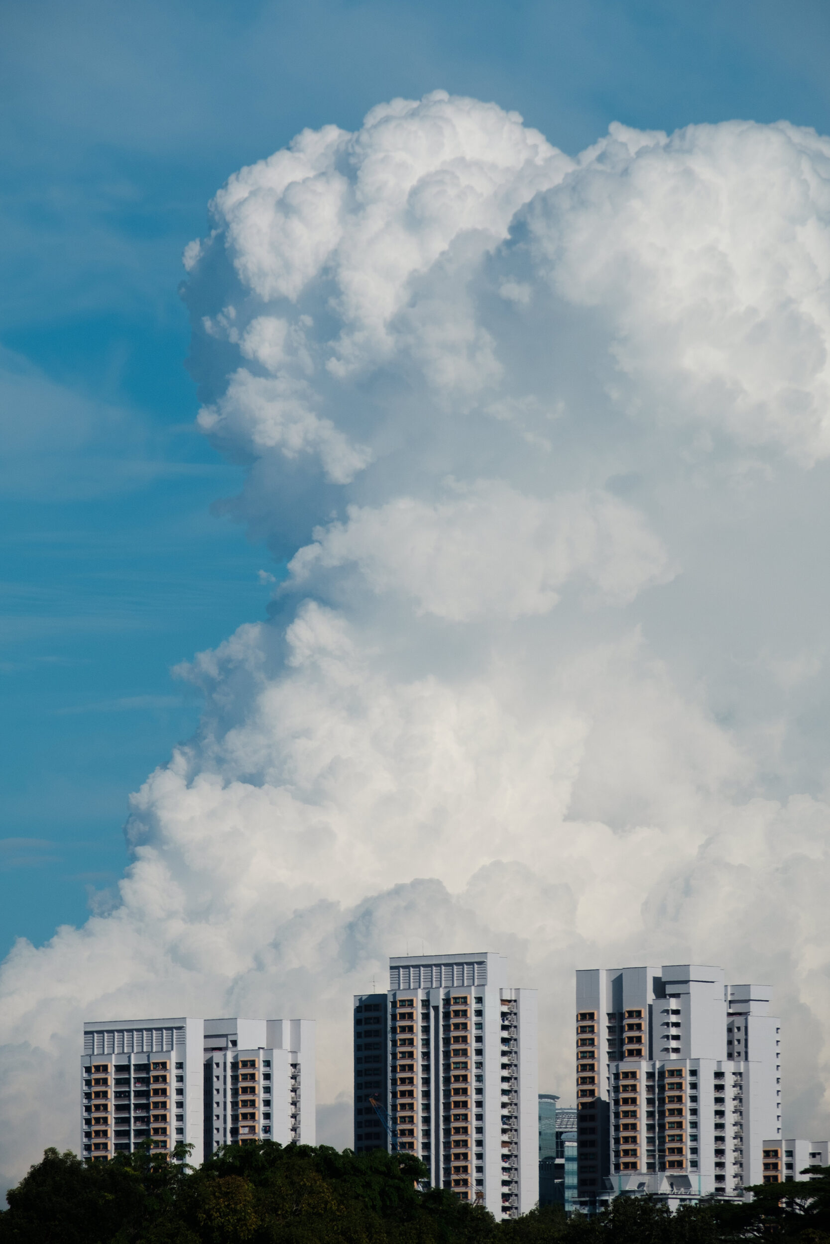 XE033917-1667x2500.jpg