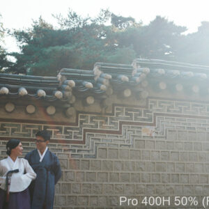 RNI All Films 5 Capture One - Pro 400H