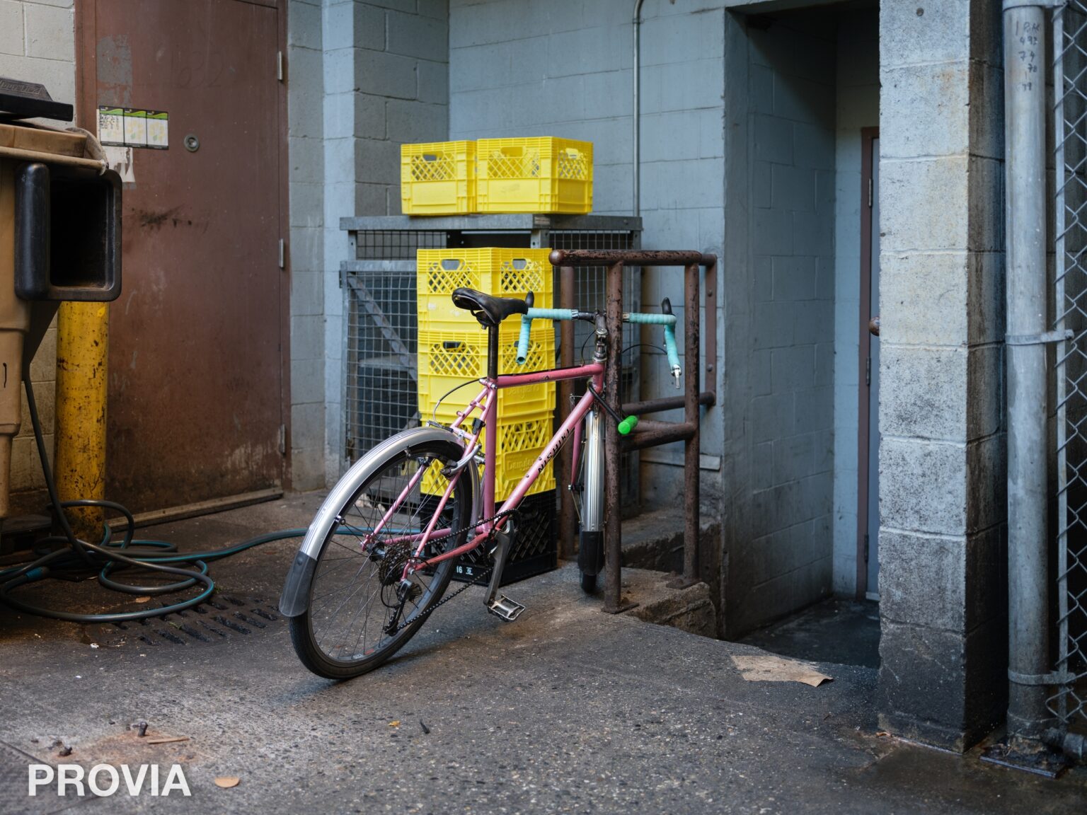 Which Film Simulations Are Best for Street, Portrait, Night, Landscape