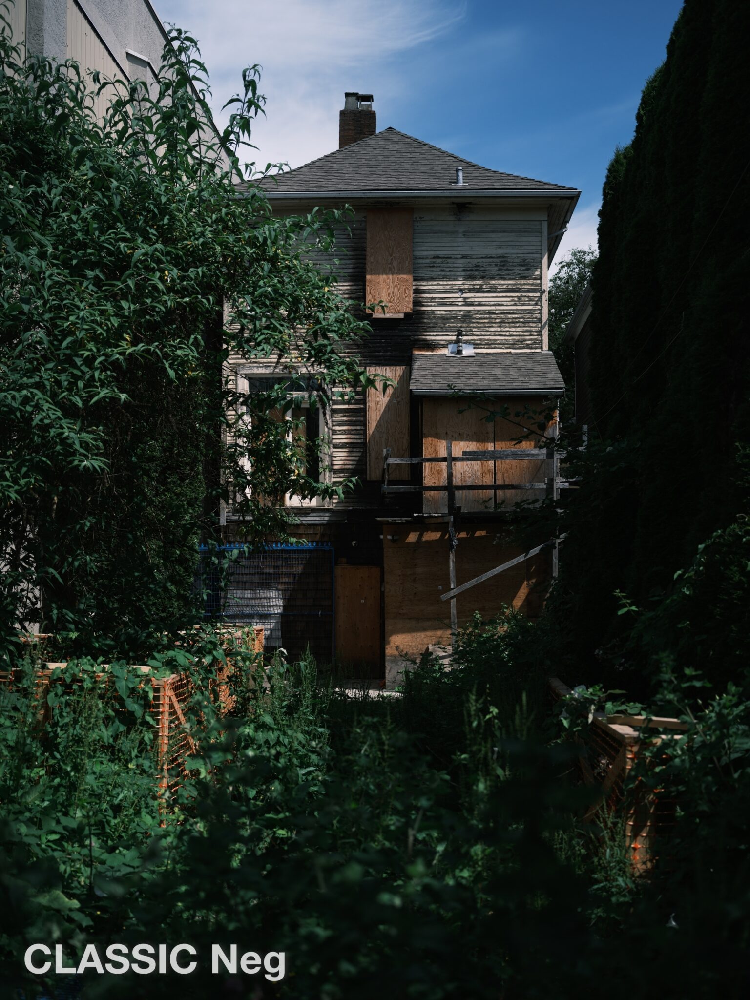 Which Film Simulations Are Best for Street, Portrait, Night, Landscape