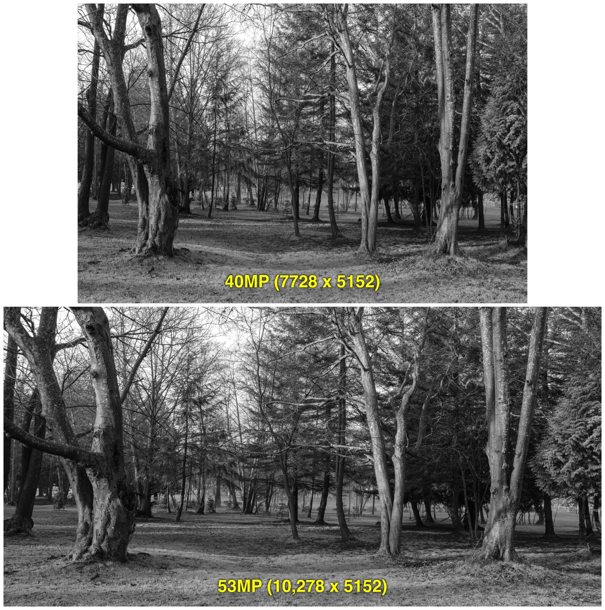 The Power of Cropping With the 40 Megapixel X-T5 – FUJILOVE MAGAZINE