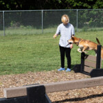 4:46 p.m. Molly Darling and her dog Jack find time to play at the south Moorhead Dog Park (W. Scott Olsen)